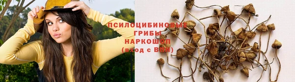мдпв Беломорск