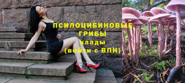 мдпв Беломорск